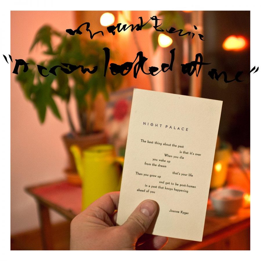 Hustler Reviews: Mount Eerie’s A Crow Looked at Me