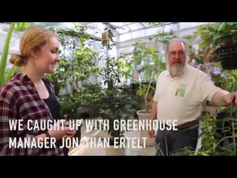 Vanderbilt greenhouses promote faculty research, student involvement