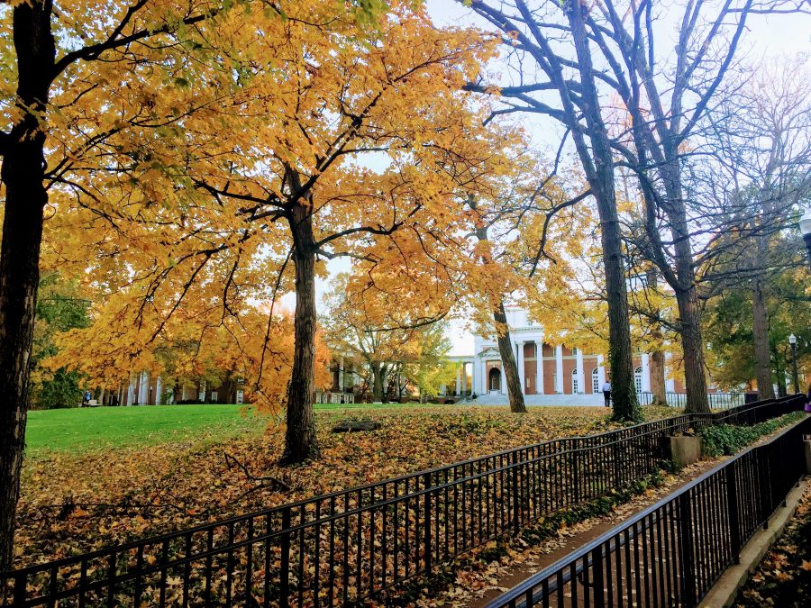 fall at Vanderbilt