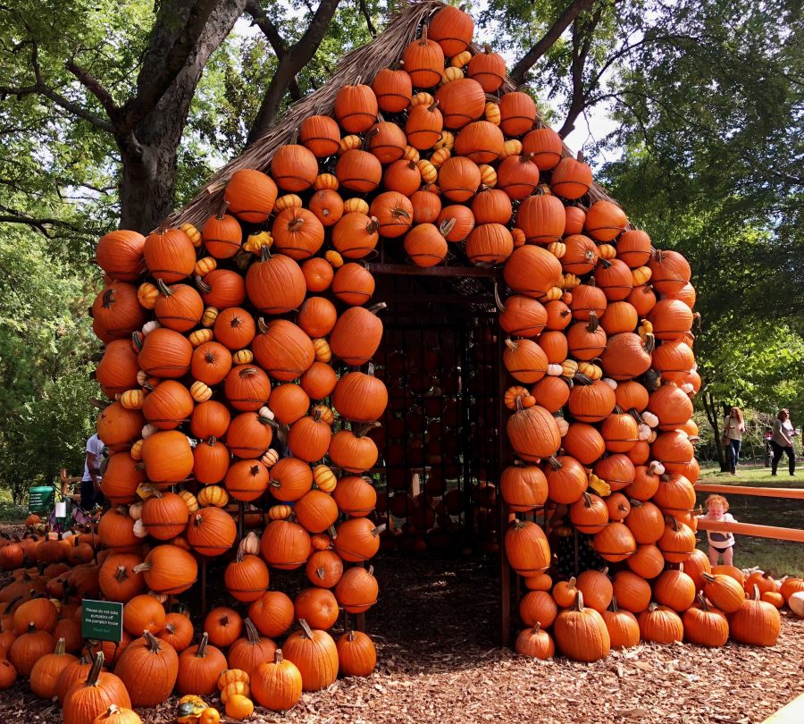 Harvest season begins at Cheekwood with yet another Pumpkin House