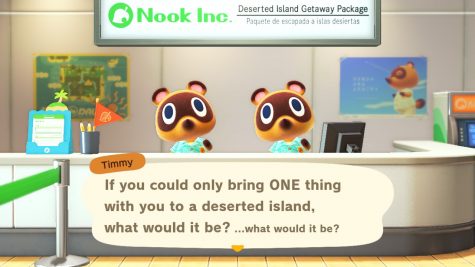 Escape To A Blissful Island With Animal Crossing New Horizons