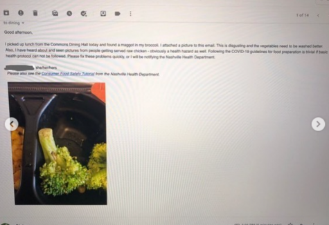 Screenshot of email