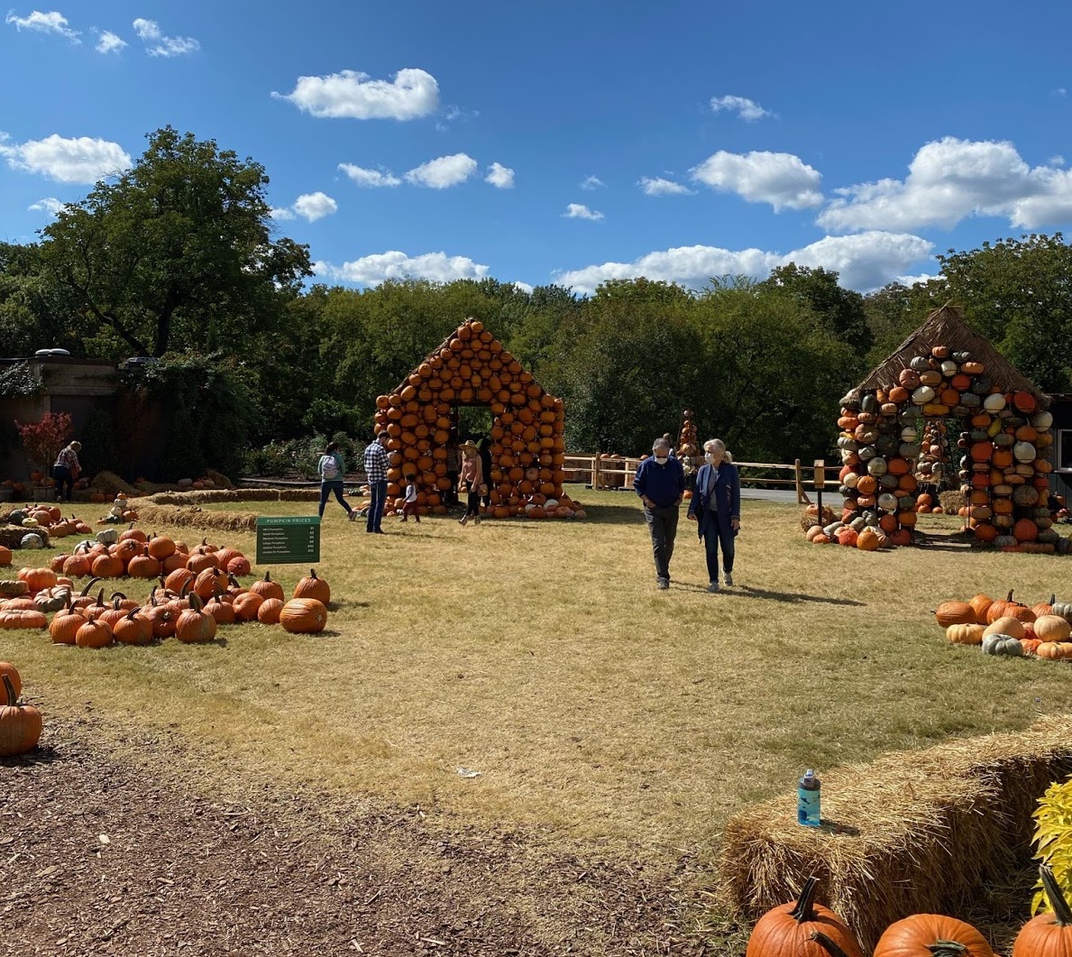 Pumpkin Village at Cheekwood Estate in Nashville (Hustler Staff/Sophie Price)
