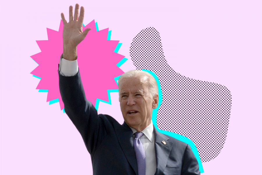 Newly elected President Joe Biden (Hustler Communications/Emery Little)