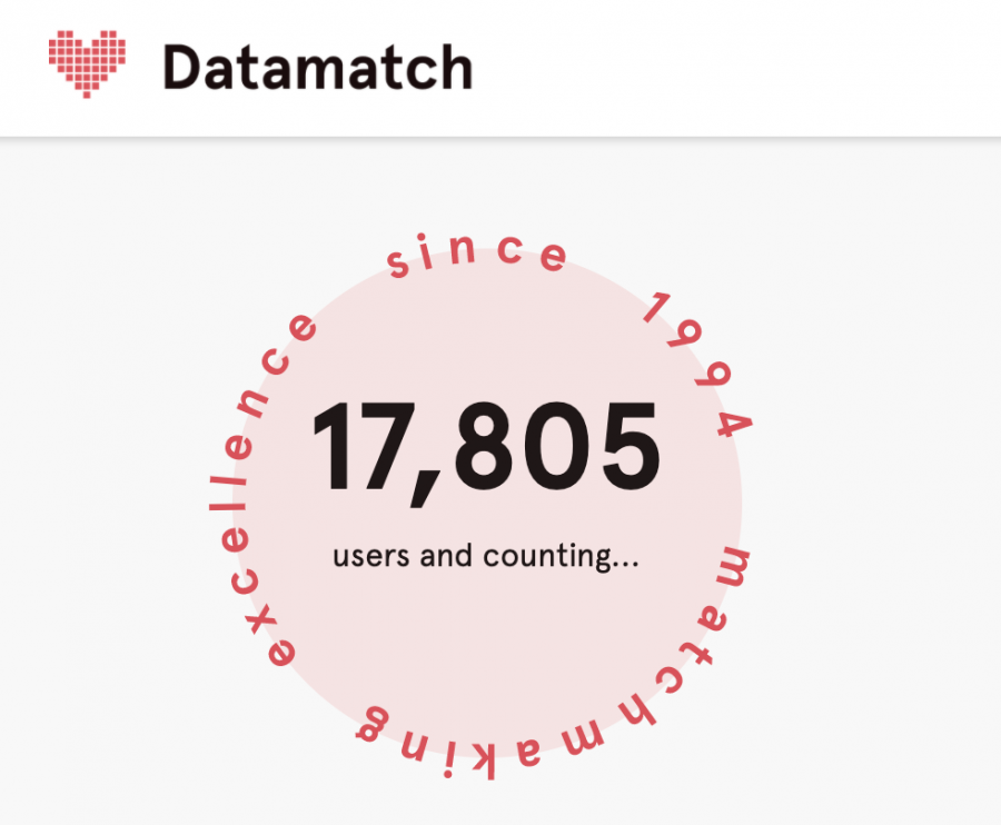 Datamatch has had just under 18,000 users since 1994, and now it has come to Vanderbilt just in time for Valentine's Day. Screenshot from Datamatch website (Hustler Staff/Julia Tilton)