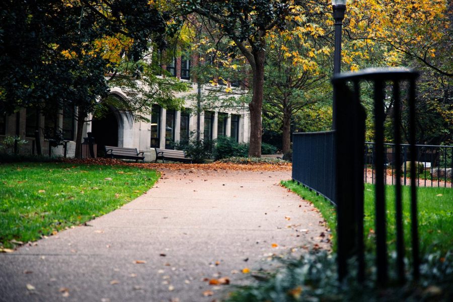 Empty path on Vanderbilt’s campus, photographed October 26, 2020. (Hunter Long/Hustler Multimedia)