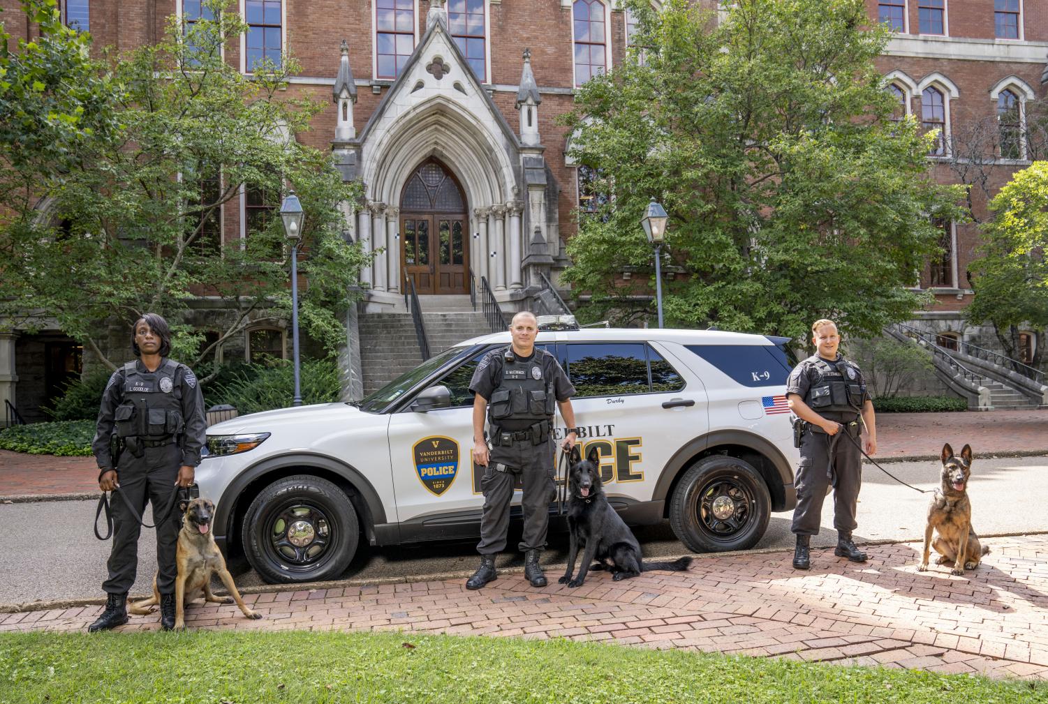 Who Dat dogs: See photos of New Orleans Saints' furry friends on