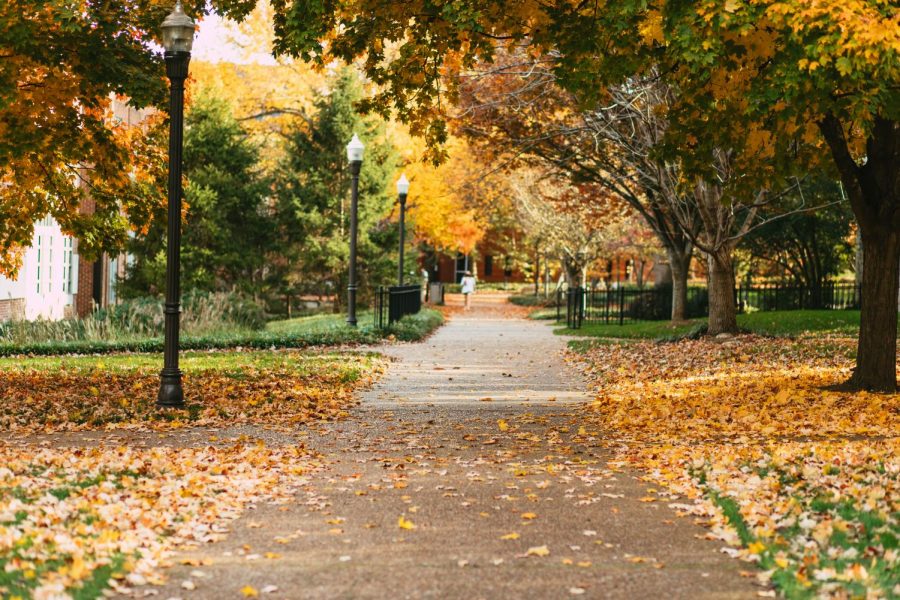 A path on Vanderbilts campus