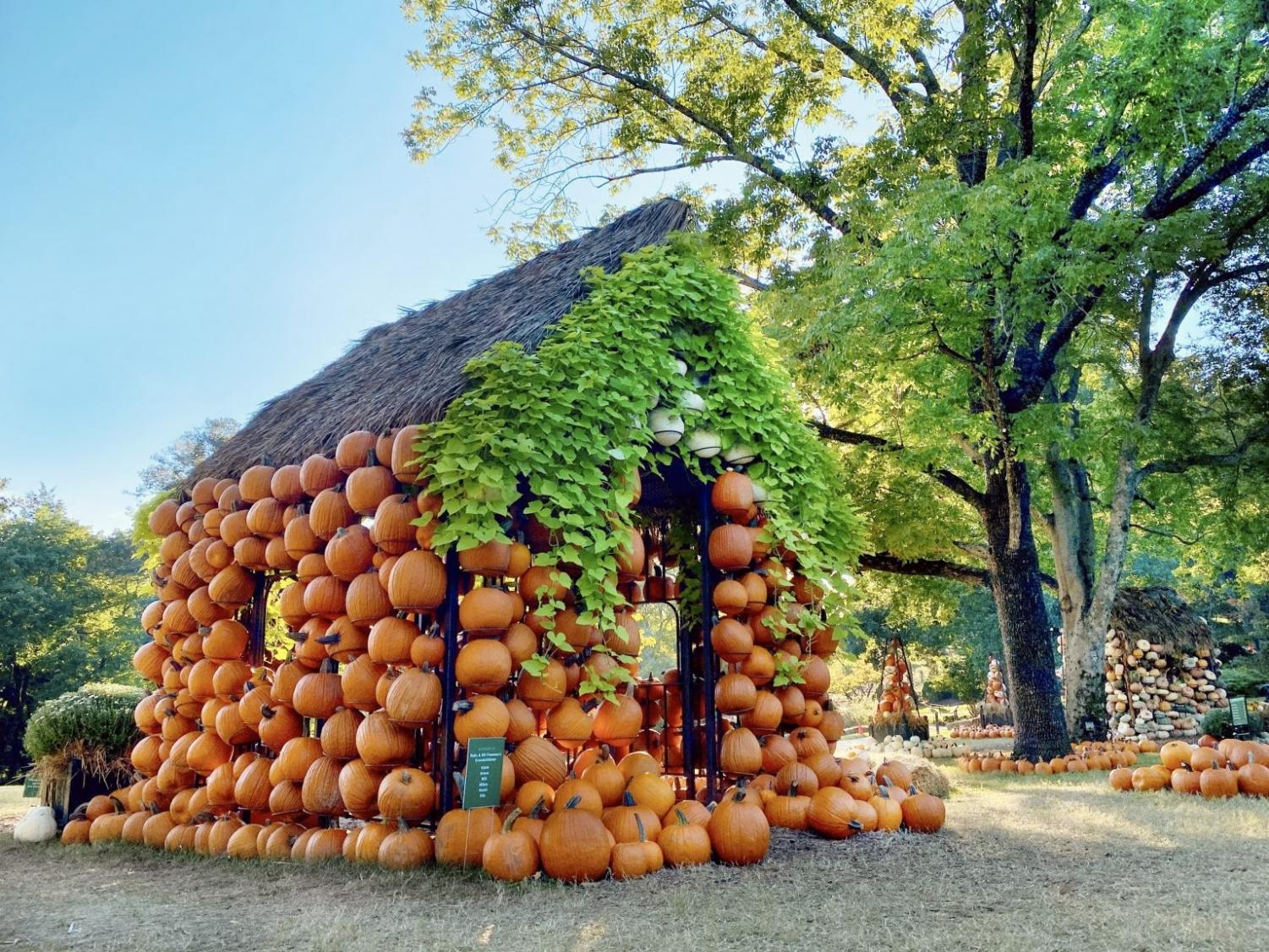 How To Guide For A Fulfilling Fall Break The Vanderbilt Hustler