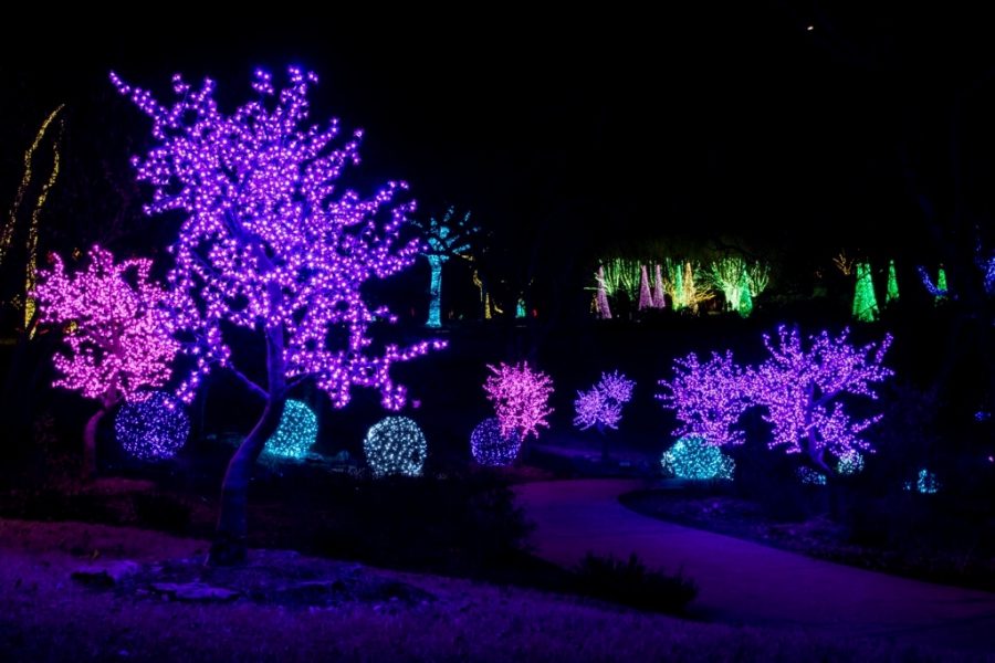 The beautiful holiday lights at Cheekwood. 