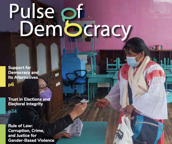 Pulse of Democracy flyer