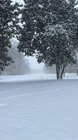 Snow seen accumulating on Wyatt Lawn on Jan. 6, 2022.