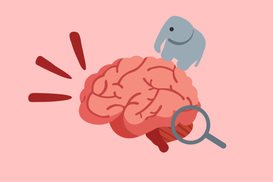 Graphic of a brain and elephant, created March 1, 2022. Vanderbilt students beliefs often contrast with their real-world actions (Hustler Graphics/Alexa White).
