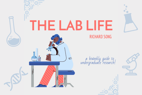The Lab Life Cover