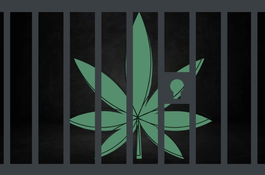 Graphic depicting the consequences of marijuana possession. (Hustler Graphics/Alexandra Perez)