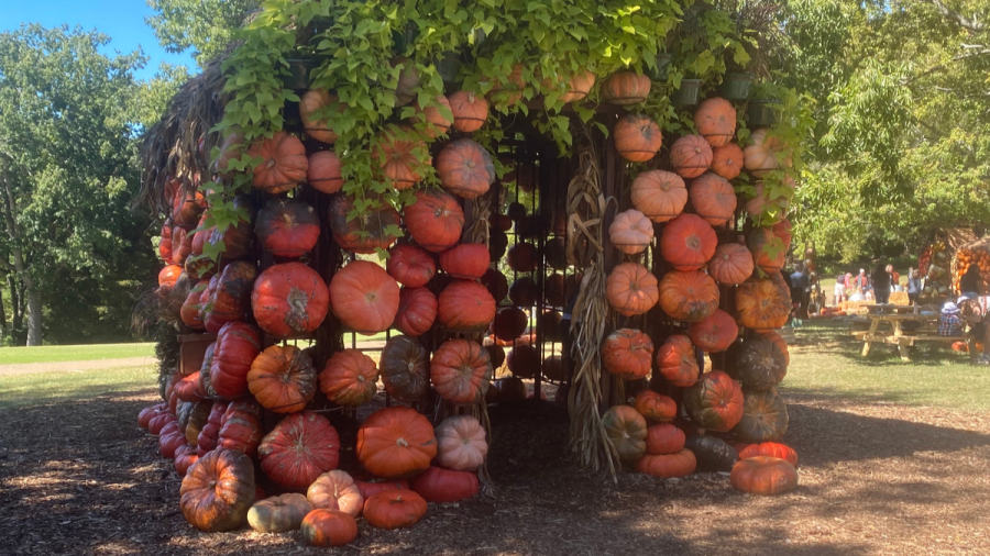 Photo depicting one of three pumpkin houses featured at Cheekwood Harvest, as photographed on Oct. 1, 2022. (Hustler Staff/Nikki Weitzenhoffer)