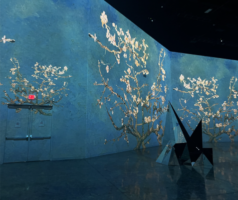 The Immersive Van Gogh exhibit’s depiction of “Almond Blossoms,” as captured on Dec. 16, 2022. (Hustler Staff/Isabella Bautista)