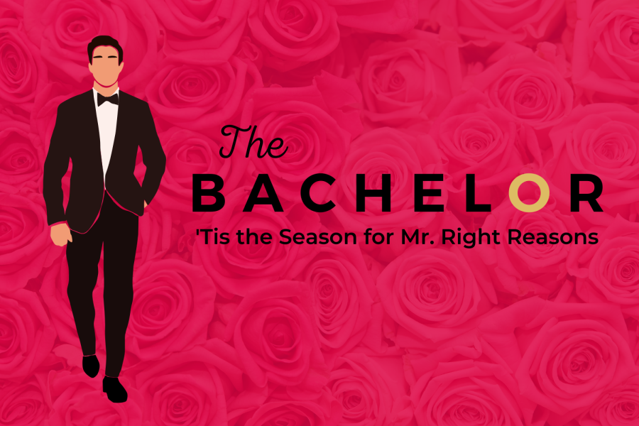 Graphic depicting season 27 The Bachelor Zach Shallcross. (Hustler Multimedia/Lexie Perez)