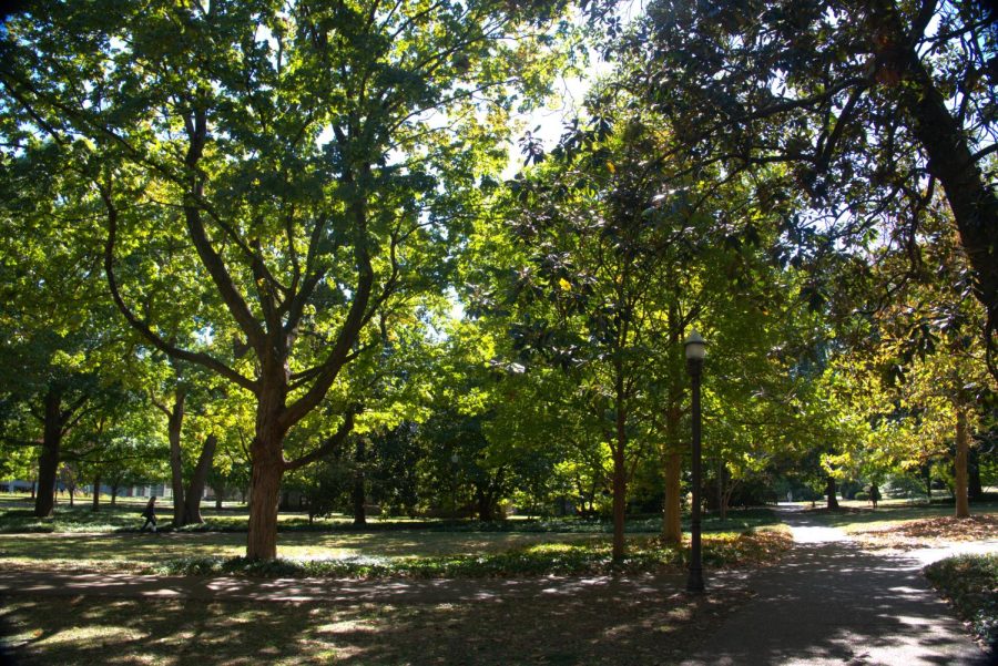 A pretty afternoon on campus, as photographed on Oct. 4, 2022 (Hustler Multimedia/Tasfia Alam)