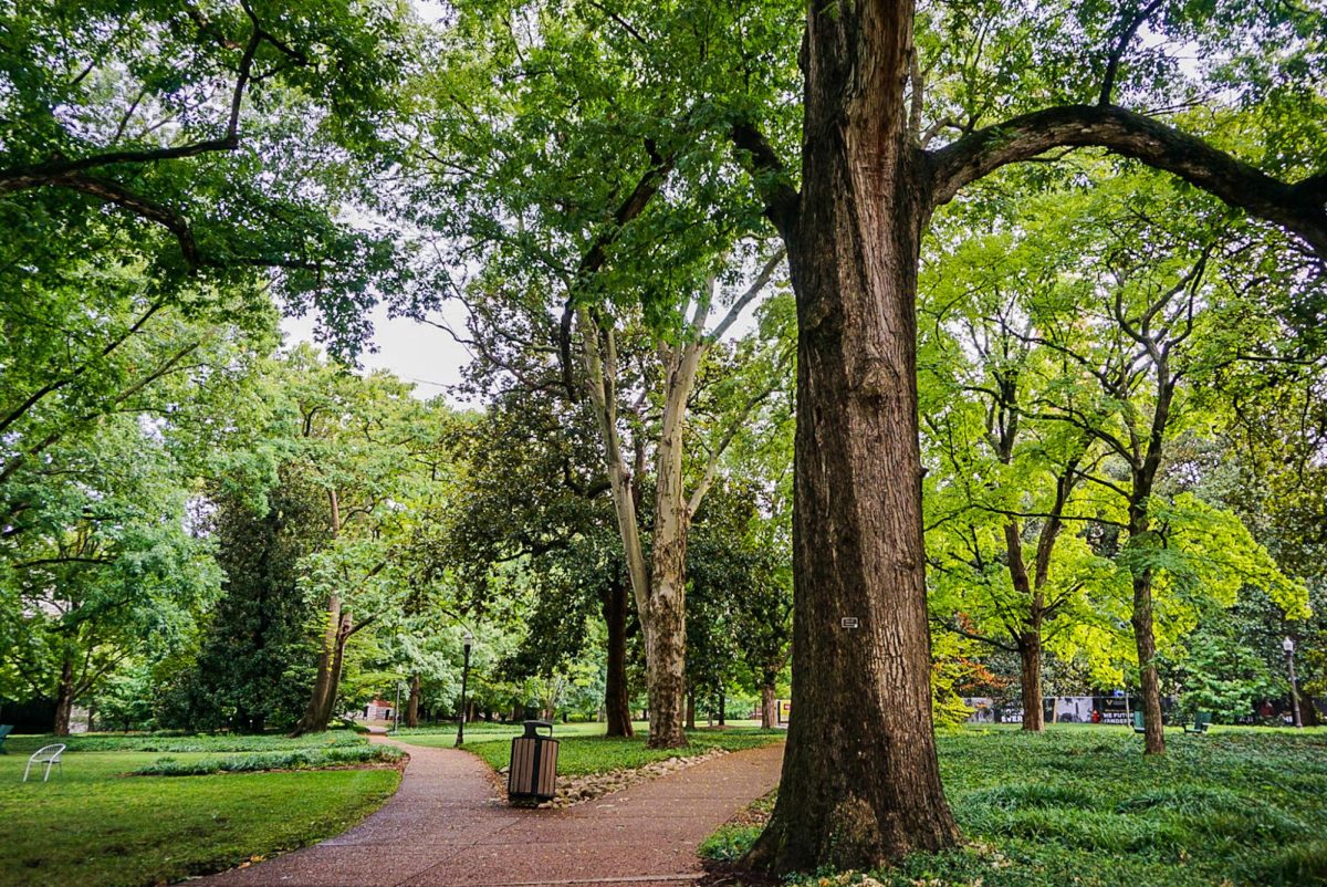Paths on main campus, as photographed on July 6, 2022. (Hustler Multimedia/Miguel Beristain).