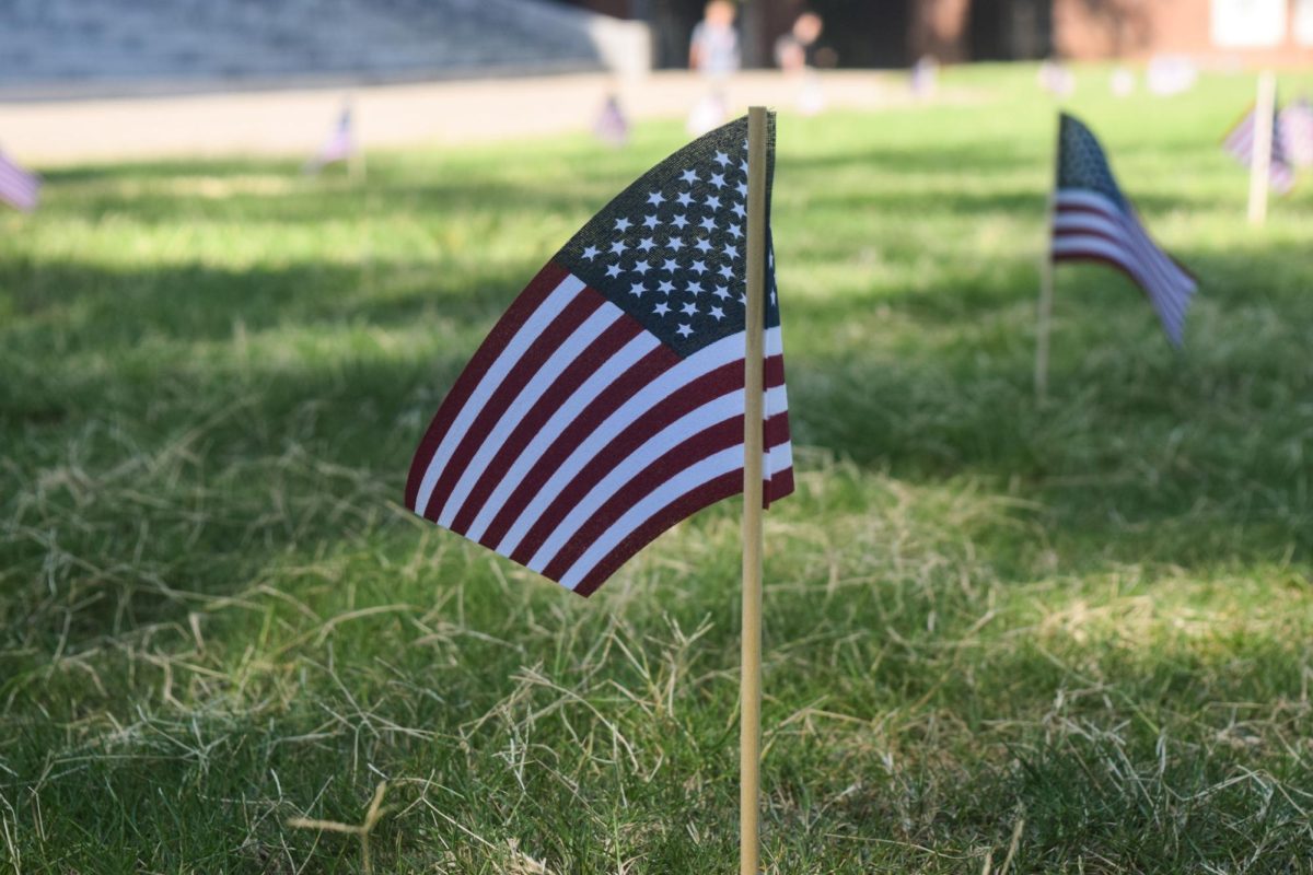 Wyatt Lawn covered in flags, as photographed on Sept. 11, 2023. (Hustler Multimedia/Kasey Kautz)