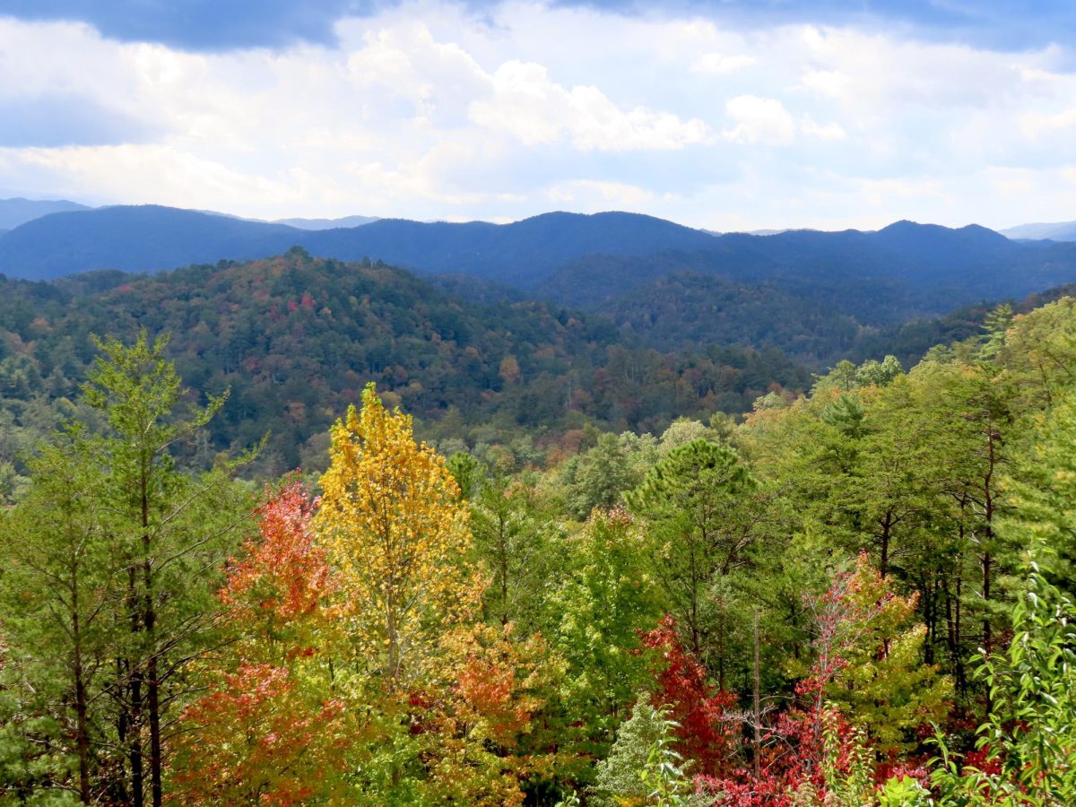 Colorful leaves dot the Smoky Mountains, as photographed on Oct. 20, 2023. (Hustler Multimedia/Isabella Bautista)