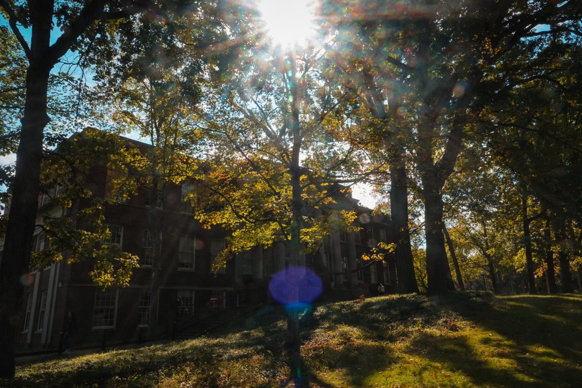 Sun comes through the autumn leaves, as photographed on Oct. 12, 2023. (Hustler Multimedia/Payton Ohler)
