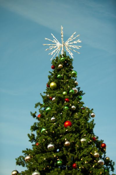A large Christmas tree in the center of downtown Paris, Tennessee, as photographed on Nov. 25, 2023. (Hustler Multimedia/Sieran Weatherly)