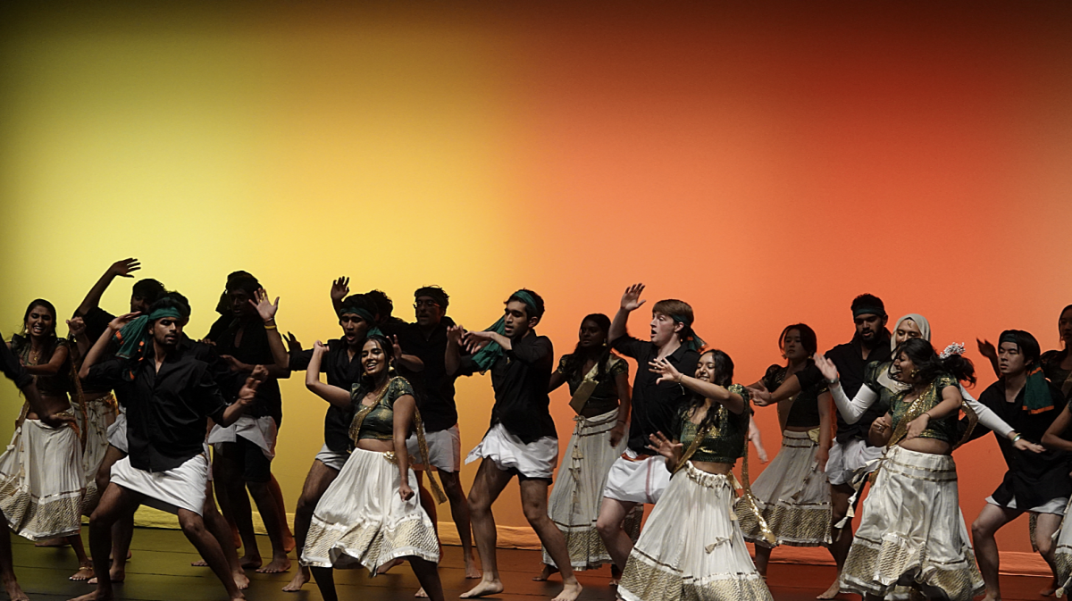 The+Dances+of+South+Asia+put+on+a+thrilling+showcase+of+dance+performances+and+a+signature+fashion+show.