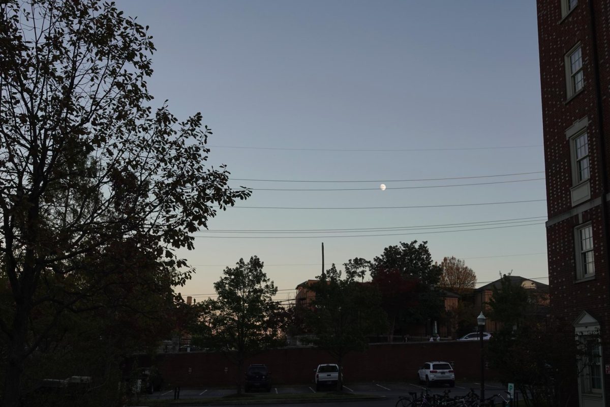Moon hangs among silhouetted trees, as photographed on Oct. 26, 2023. (Hustler Multimedia/Abby Hoelscher)