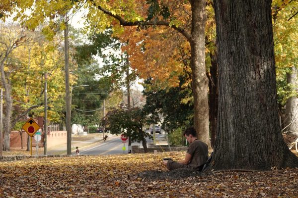 Student sits at computer underneath tree surrounded by fallen brown leaves, as photographed on Oct. 26, 2023. (Hustler Multimedia/Abby Hoelscher)