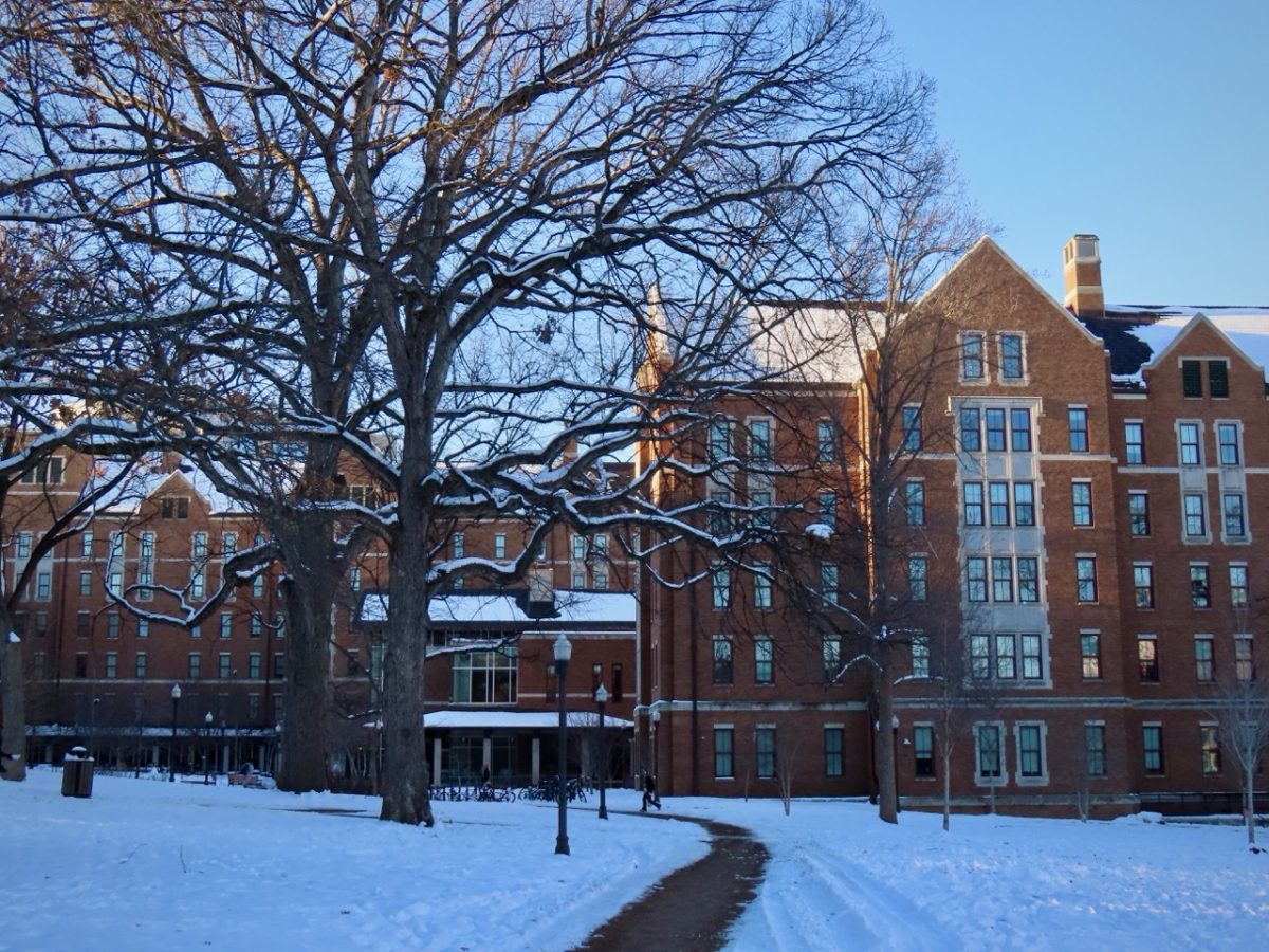 Snow-covered trees stand in front of Kissam Center, as photographed on Jan. 17, 2024. (Hustler Multimedia/Isabella Bautista)
