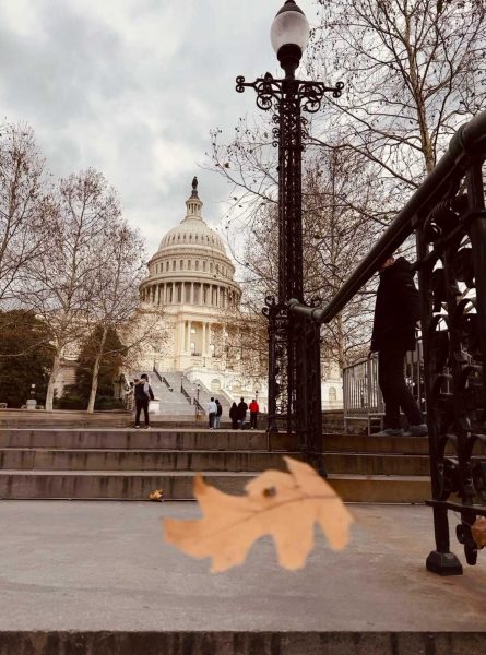 A late afternoon walk around the Capitol Building in Washington, as photographed on Jan. 4, 2024. (Hustler Multimedia/Lyton Mhlanga)