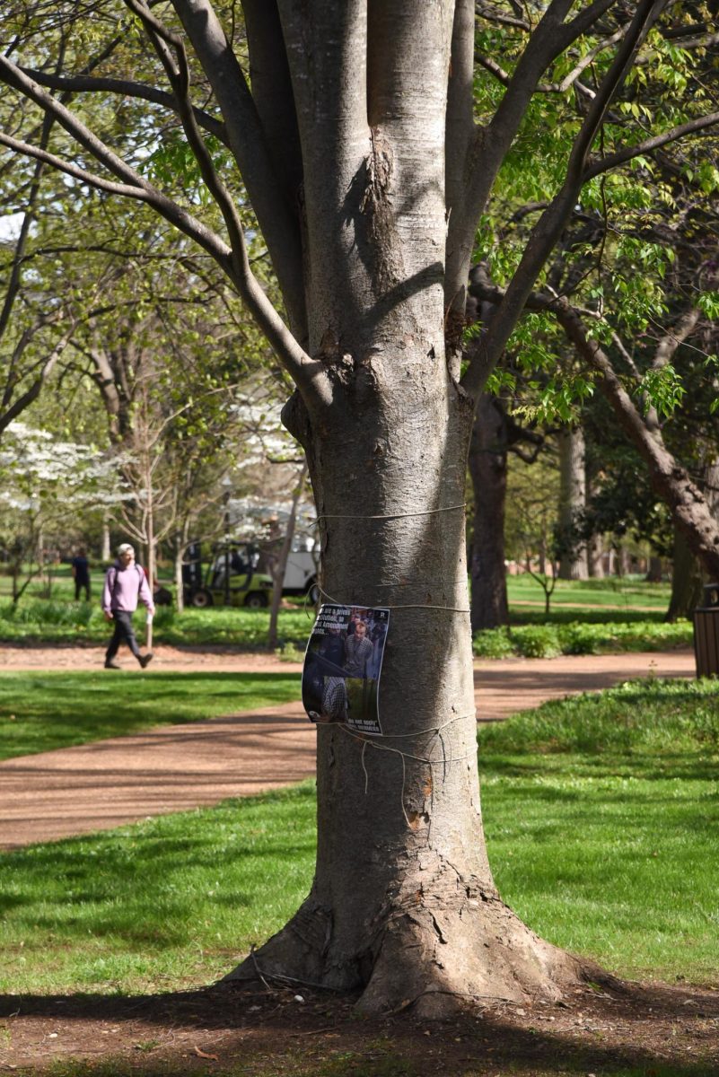 A poster attached to a tree, as photographed on April 6, 2024. (Hustler Multimedia/Alondra Moya)