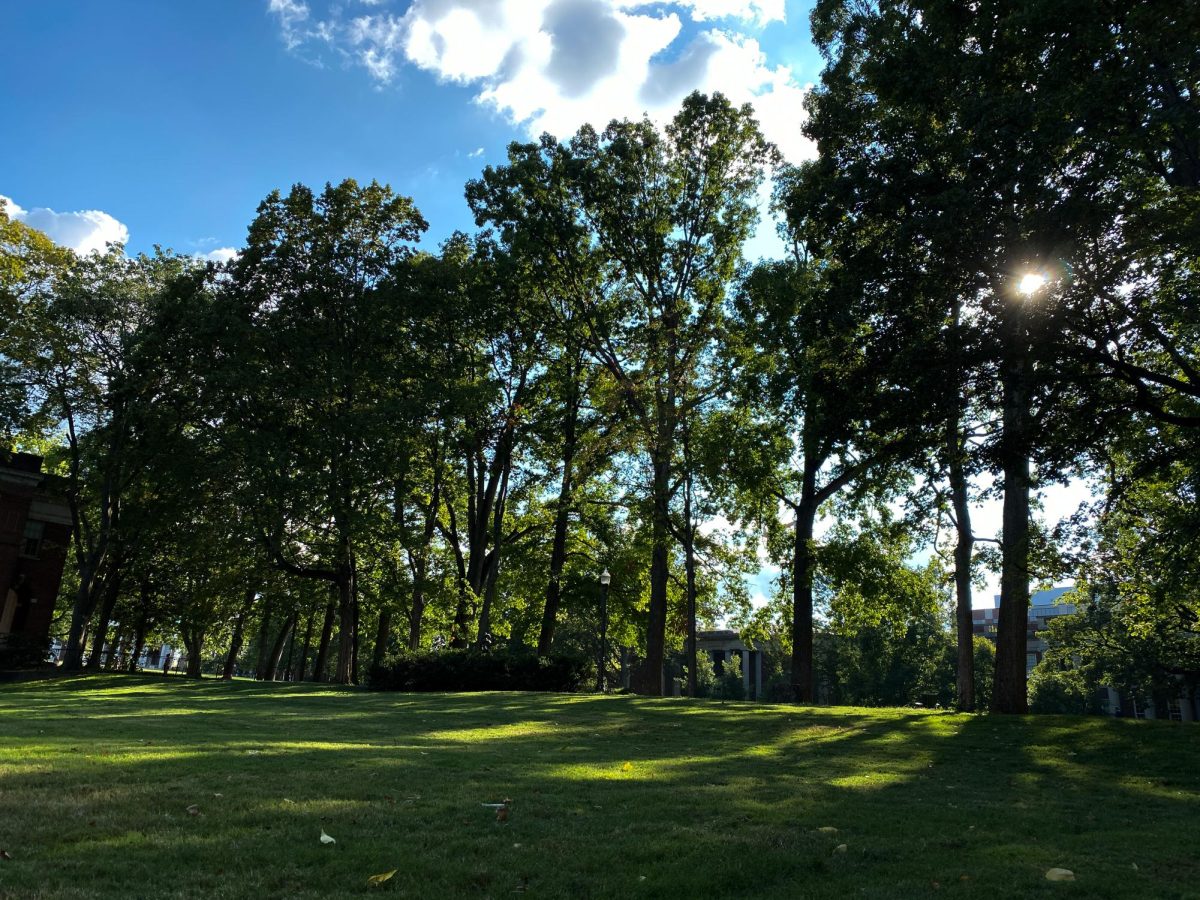 Line of trees and lawn glowing near Peabody Lawn, as captured on Sept. 8, 2023. (Hustler Multimedia/George Albu)