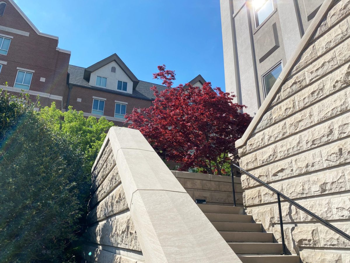 Red tree at the top of a staircase at Belmont University, as photographed on March 30, 2024. (Hustler Multimedia/George Albu)