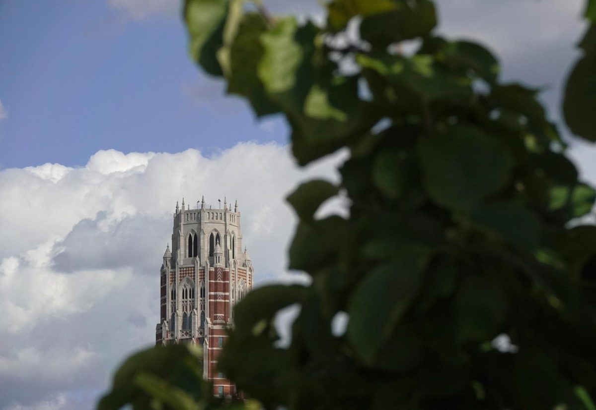 Zeppos Tower with a branch in the foreground, as photographed on Aug. 19, 2024. (Hustler Multimedia/George Albu)