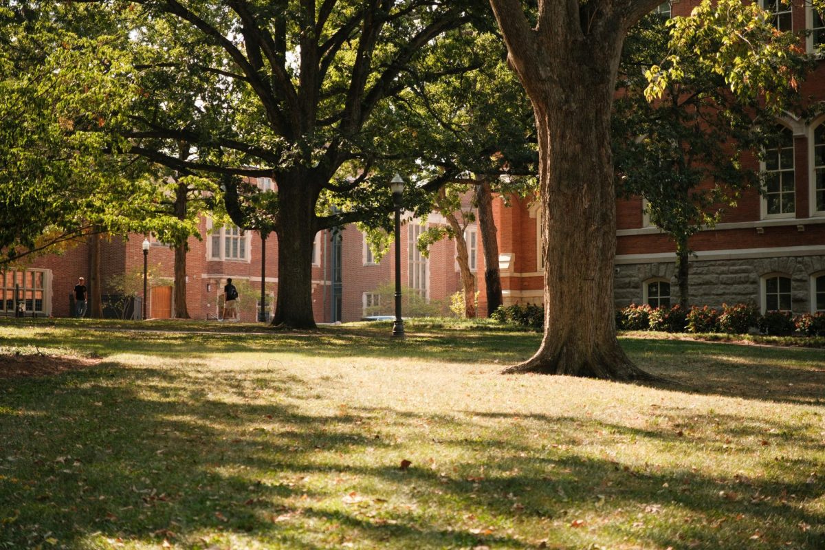 Sunlight streaming through the trees on campus, as photographed on Aug. 27, 2024 (Hustler Multimedia/Nafees-ul Haque)