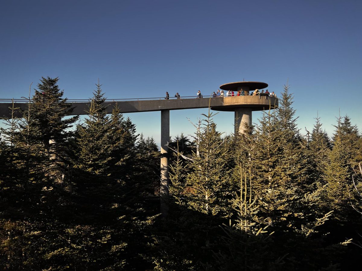 ClingmansDome2023.10.21-IB-1