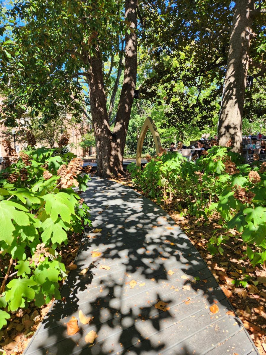 Dappled sunlight falls on the Sarratt Student Center outdoor seating area, as photographed on Sept. 8, 2024. (Hustler Multimedia/Alice Tang)