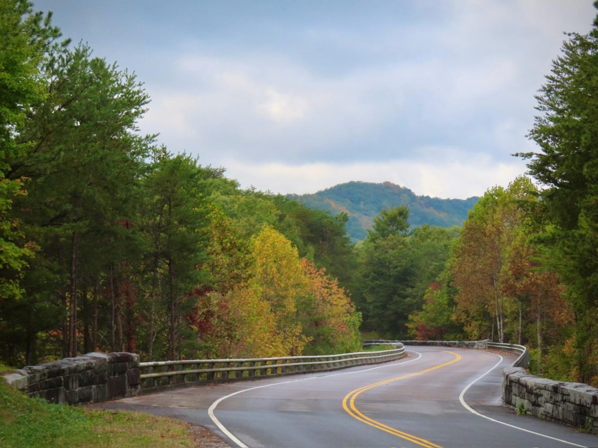 The Foothills Parkway framed by autumn leaves, as photographed on Oct. 20, 2023. (Hustler Multimedia/Isabella Bautista)