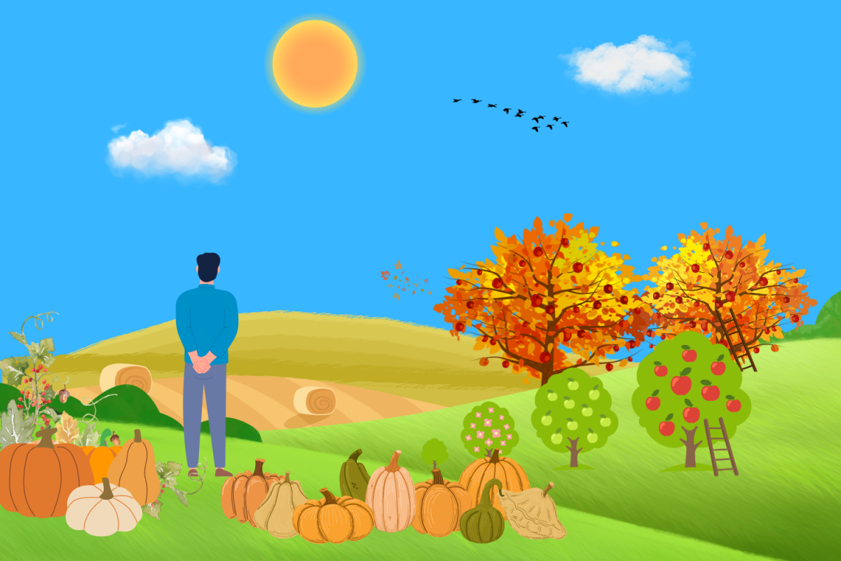 Graphic depicting a person standing near pumpkins, looking out at various trees. (Hustler Multimedia/Matthew Ye) 