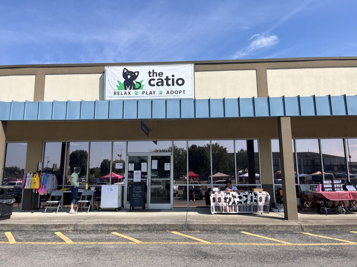 The Catio Cat Lounge, as photographed on Sept. 21, 2024. (Hustler Multimedia/Abby Hoelscher)
