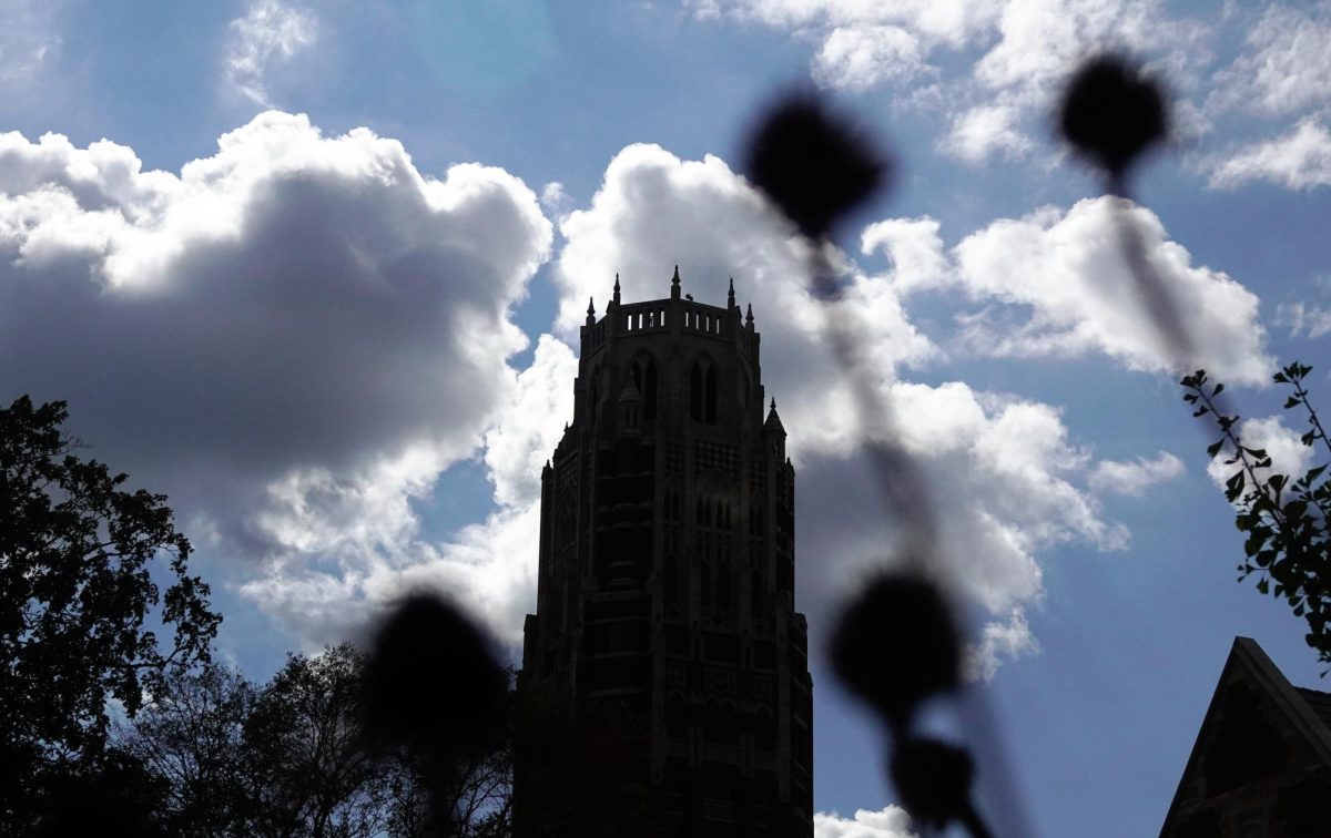 Silhouette of Zeppos Tower with dried sunflowers in the foreground, as photographed on Aug 19, 2024. (Hustler Multimedia/George Albu)