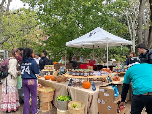 Farmer’s market on the Sarratt Rand patio selling produce from Panola County, Mississippi, as photographed on Oct 15, 2024. (Hustler Staff/Emile Brozaityte)