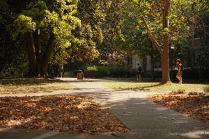 Intersection on campus with autumn leaves, as photographed on Aug. 27, 2024. (Hustler Multimedia/Nafees-ul Haque)