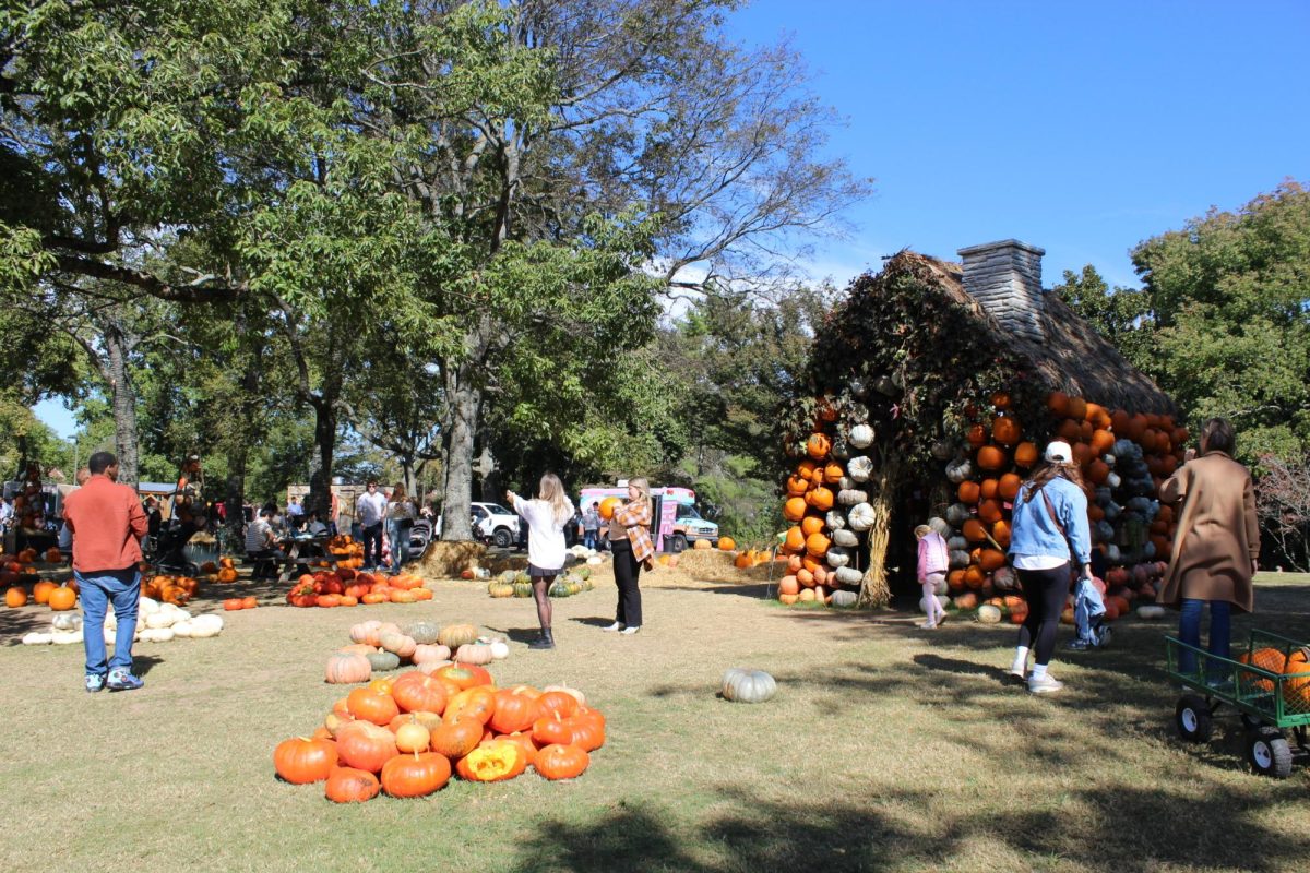 Guests at Cheekwood’s annual Harvest explore the Pumpkin Village, as photographed on Oct. 19, 2024. (Photo courtesy of Amanda Pupo)