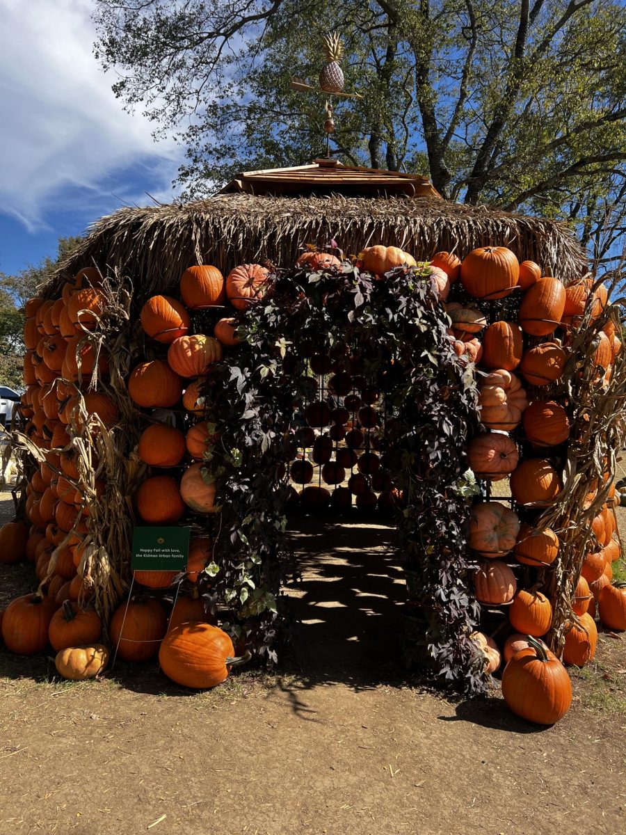 Cheekwood Hut