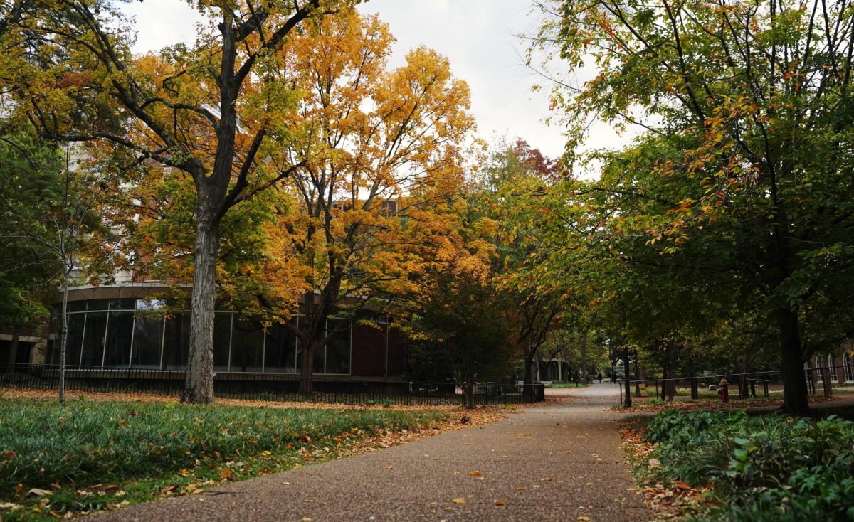 Wide-angle photograph of fall foliage by Buttrick Hall, photographed on Nov. 3, 2024. (Hustler Multimedia/ George Albu)