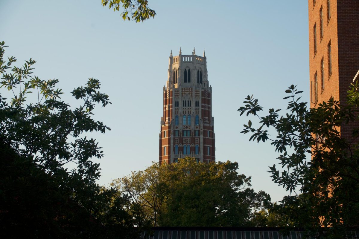 Zeppos tower framed by tree branches, as photographed on Oct. 3, 2024. (Hustler Multimedia/Abby Hoelscher)